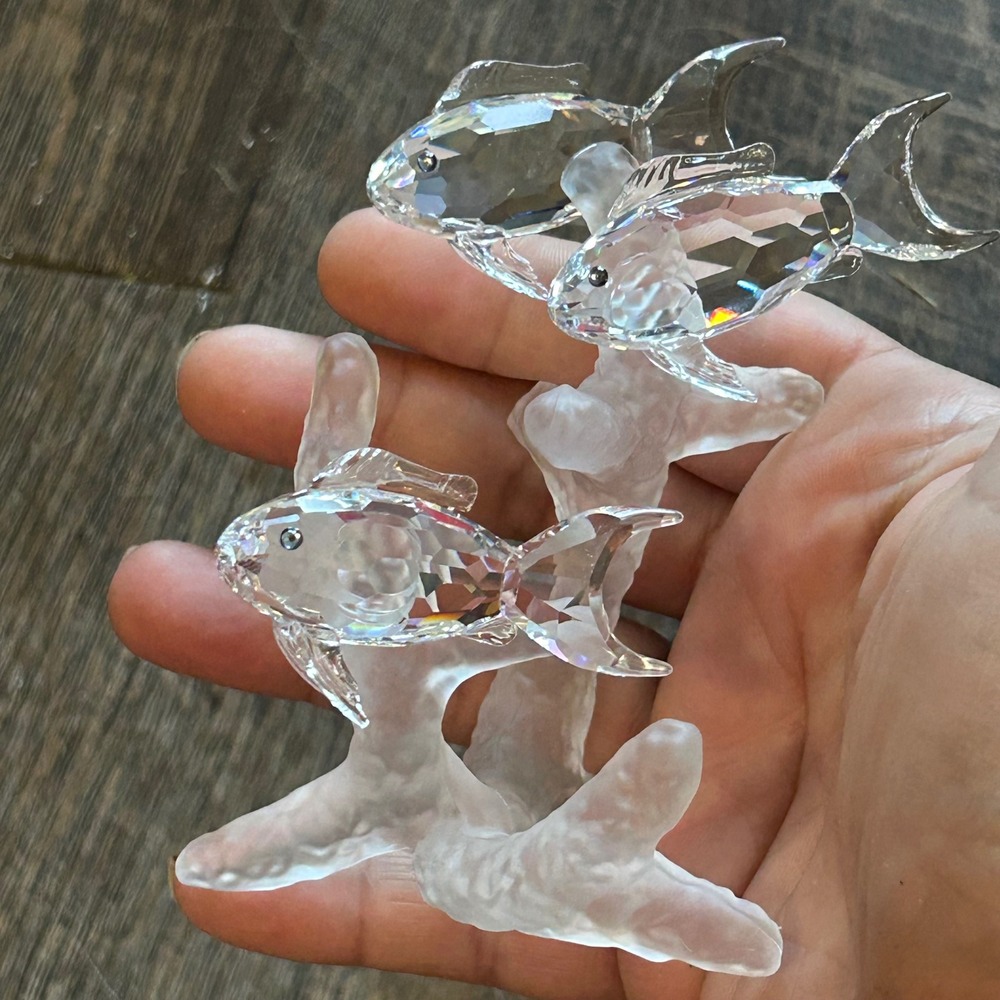 Swarovski School of Fish Crystal Figurine South Sea Frosted Coral Base 3 fish - Picture 7 of 9